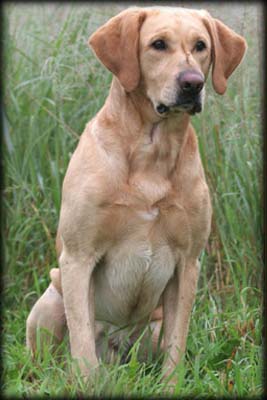 "Duke" Holzinger's Mark'em Duke